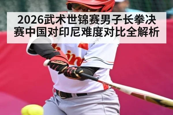 2026武术世锦赛男子长拳决赛中国对印尼难度对比全解析